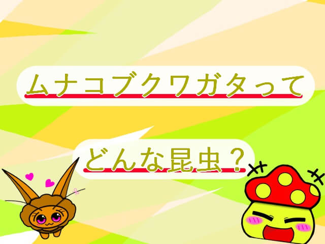 Thumbnail of post image 041